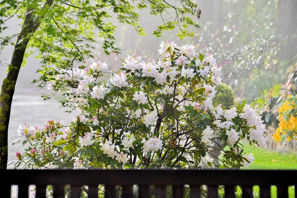 Charmilles Des Cordeliers Bed & Breakfast Parijs