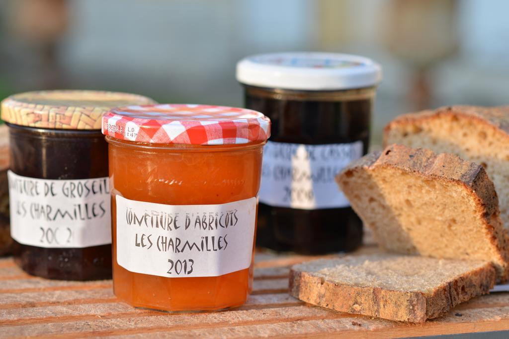 Bed & Breakfast Charmilles Des Cordeliers Parijs